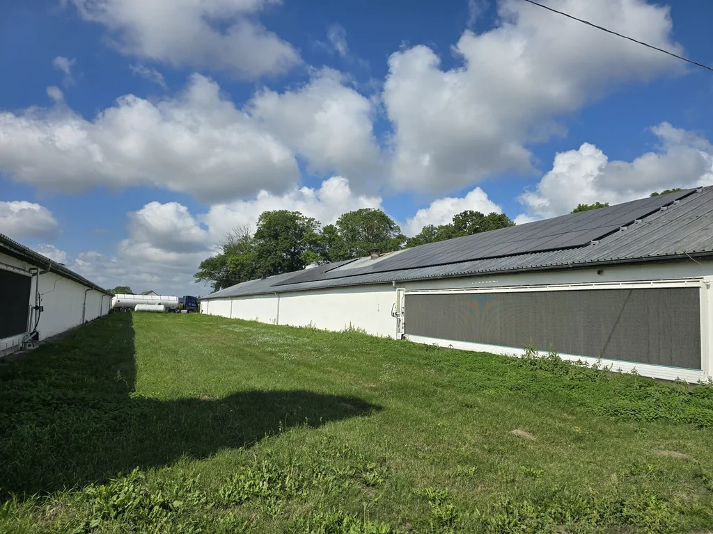 Panele fotowoltaiczne na długim dachu budynku inwentarskiego